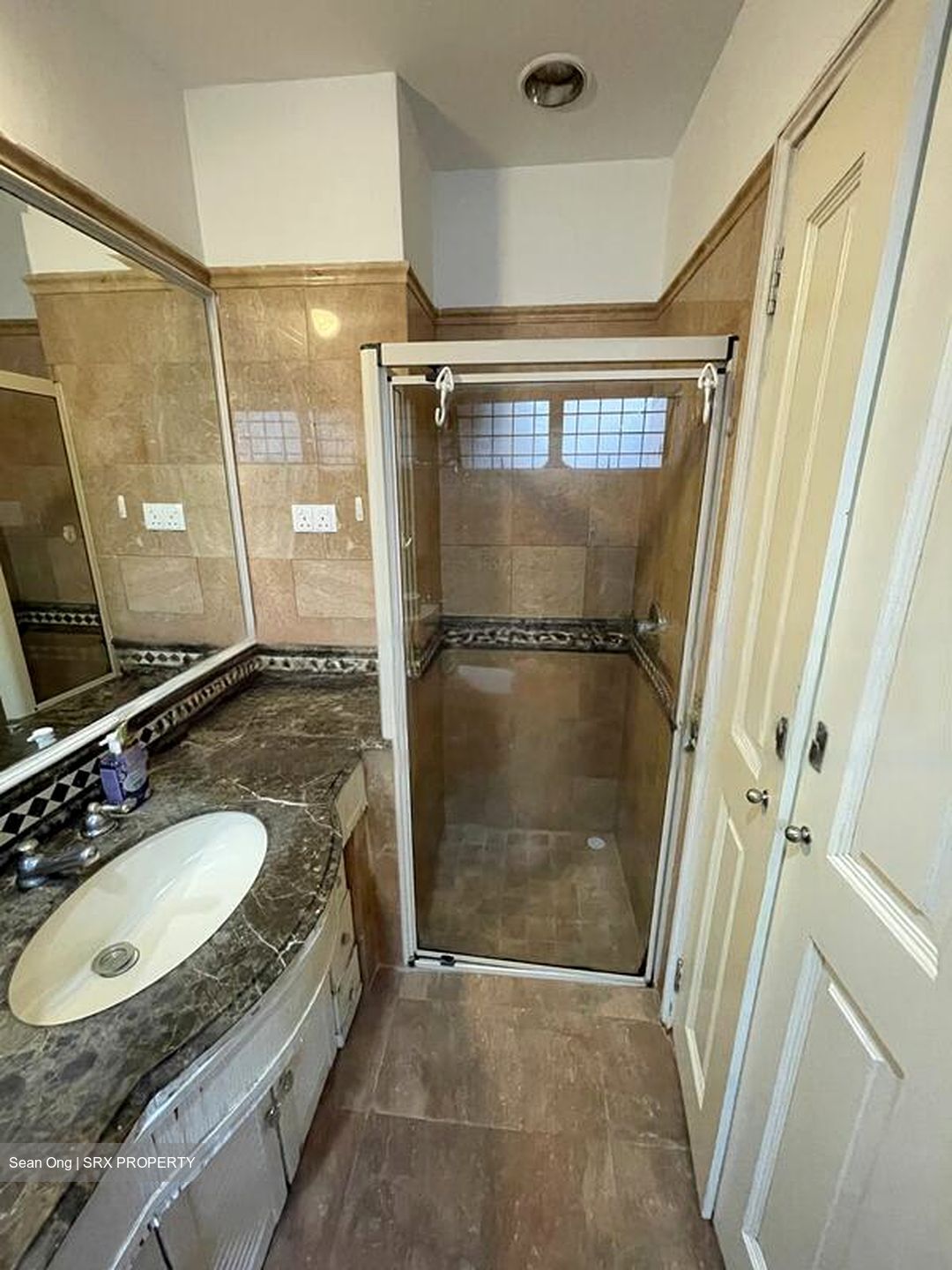 Dover Parkview (D5), Condominium #455746741